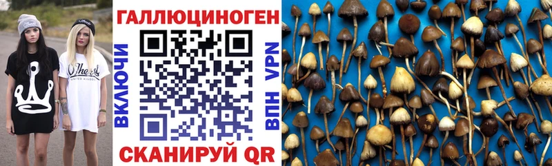 сайты даркнета как зайти  где купить наркоту  Воркута  Галлюциногенные грибы Cubensis 