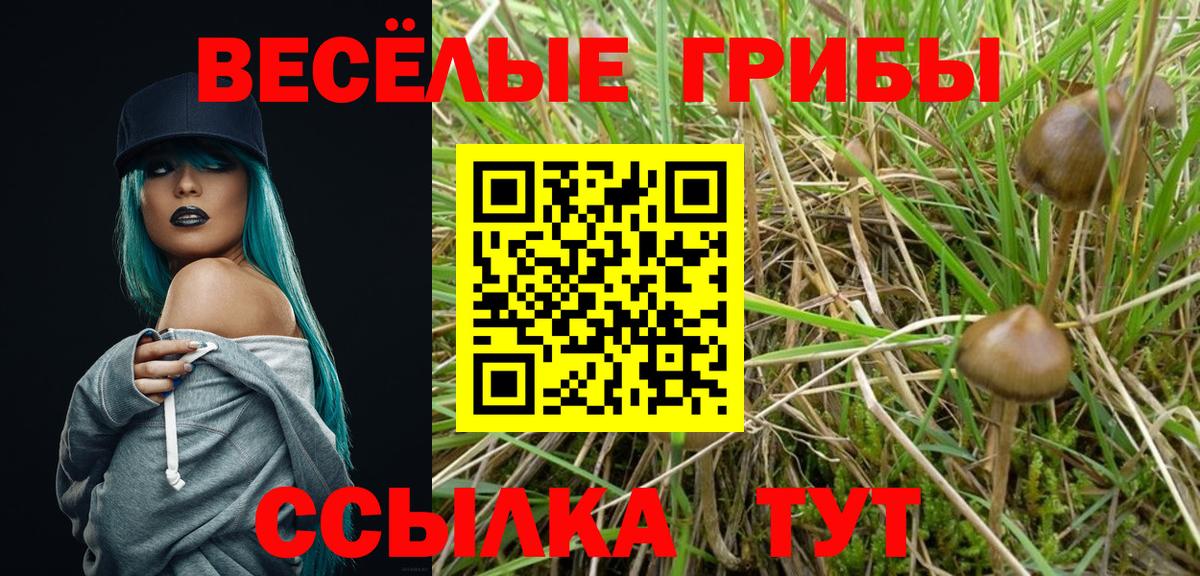 Псилоцибиновые грибы мицелий  Вход с VPN  Псилоцибиновые грибы Psilocybe  Воркута 